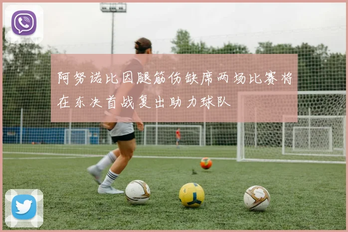 阿努诺比因腿筋伤缺席两场比赛将在东决首战复出助力球队