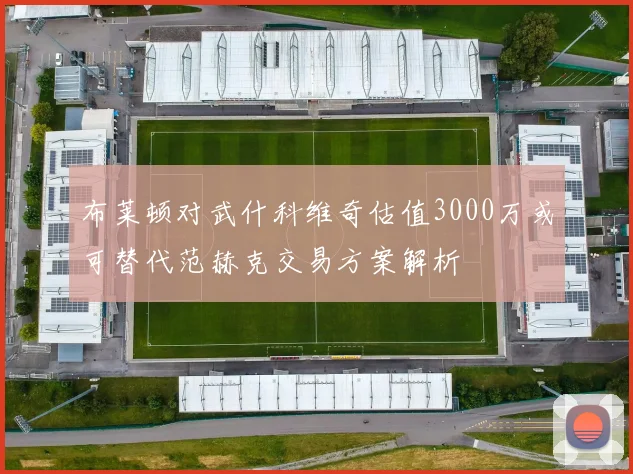 布莱顿对武什科维奇估值3000万或可替代范赫克交易方案解析